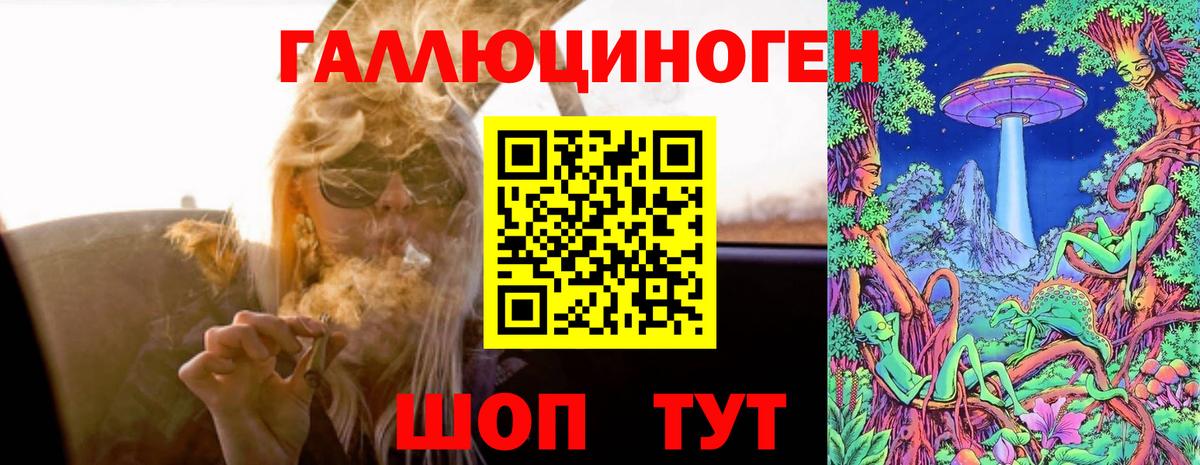 Галлюциногенные грибы Psilocybe Сафоново